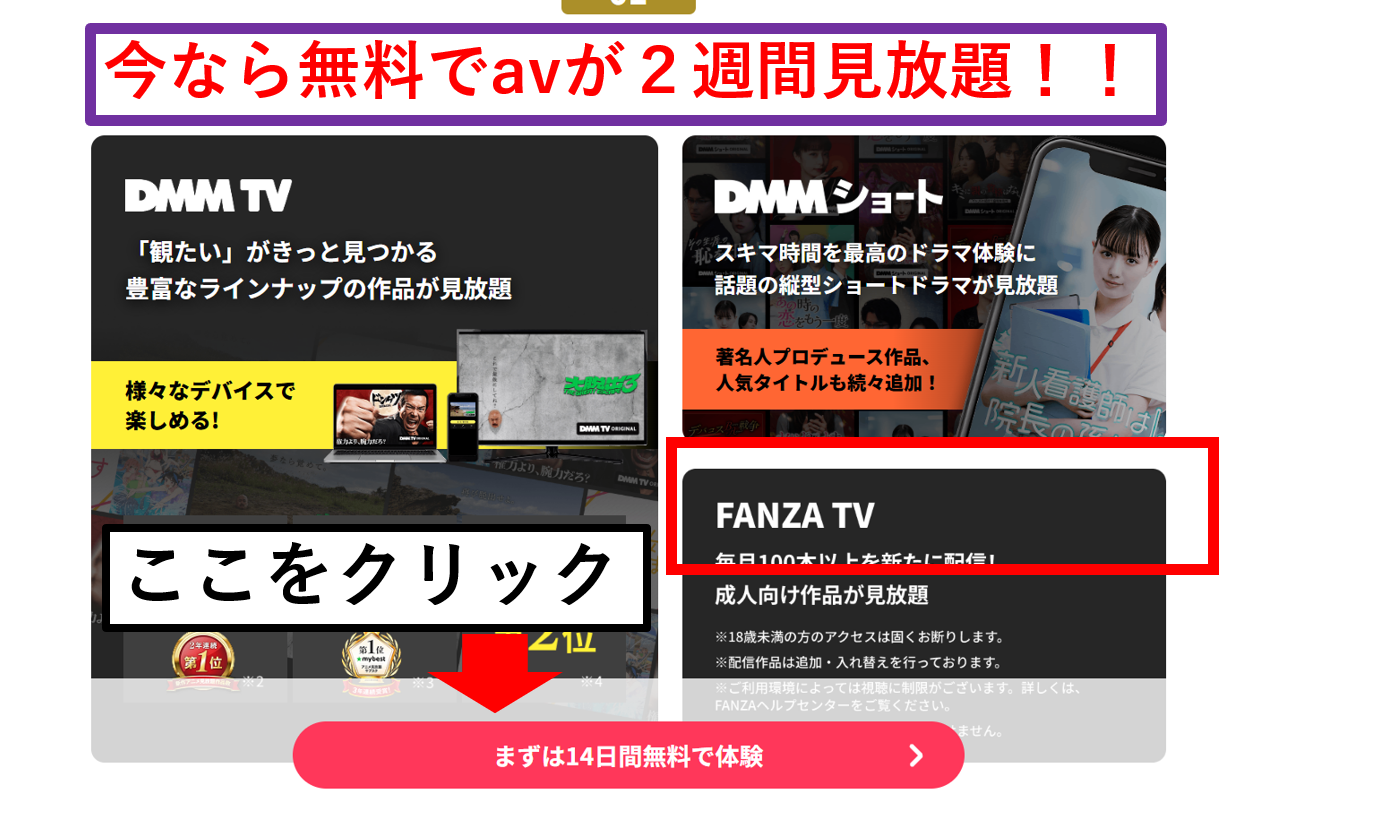 40代におすすめの熟女女優が見放題 FANZA TV 2週間無料